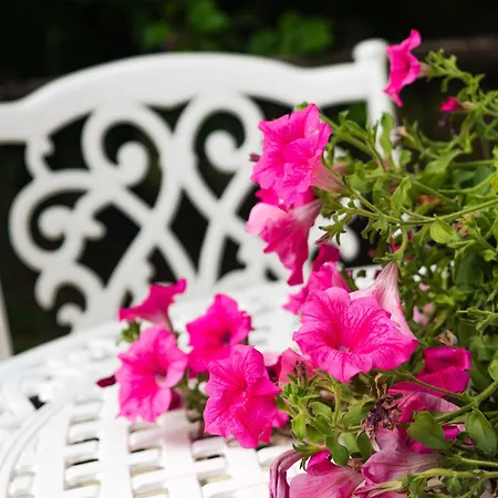 Holiday home La Fastuca Nicolosi