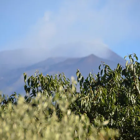 La Fastuca * Nicolosi